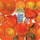 Brian Wilson - That lucky old sun